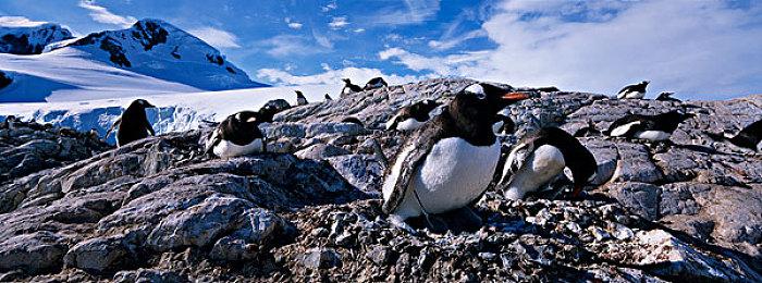 《鬼灭之刃：火神血风谭2》预发布PV发布！无惨将加入游戏