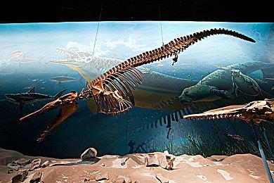 温馨治愈游戏《史力奇奇遇记：姆明山谷之歌》即将登陆